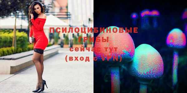 а пвп мука Абаза