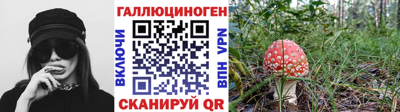 купить  цена  Вичуга  Галлюциногенные грибы прущие грибы 